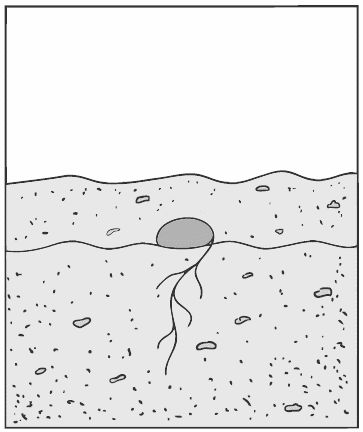 Алексей Алнашев - О боли