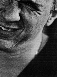 Дмитрий Липскеров - Мясо снегиря (гептамерон)