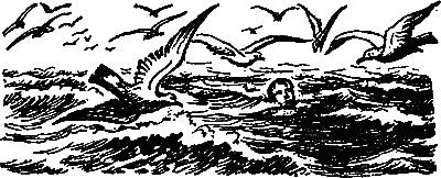 Леонид Платов - Секретный фарватер (Изд. 1963 г.)