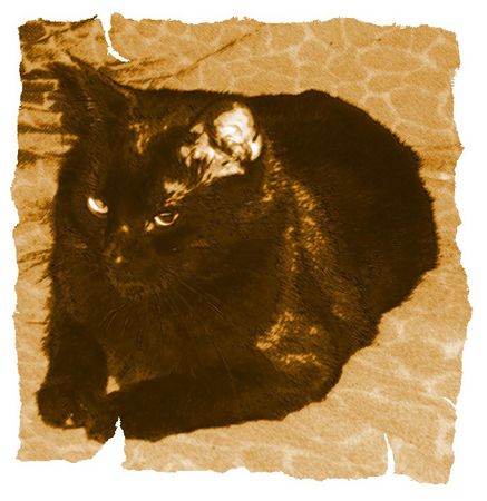 Дина Бакулина - Кот из Датского королевства