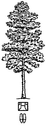 Валерий Ерофеев - Тайные рецепты парциальной магии