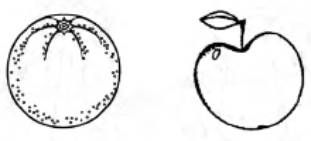 Развитие речи для малышей в рассказах и...