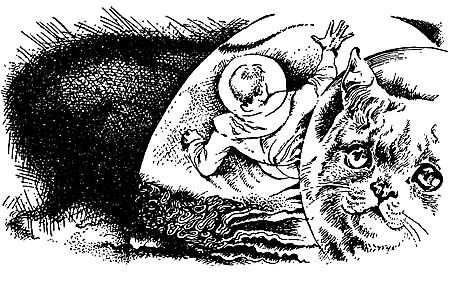 Рэй Брэдбери, Нильс Нильсен и др. - Ночная погоня