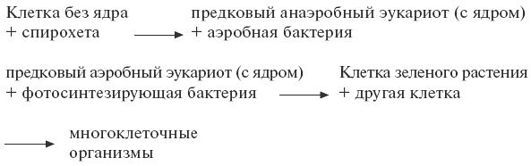 Анатолий Горелов - Экология: конспект лекций