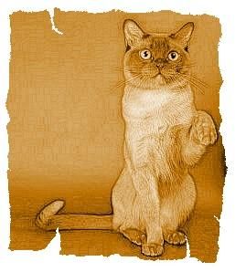 Дина Бакулина - Кот из Датского королевства