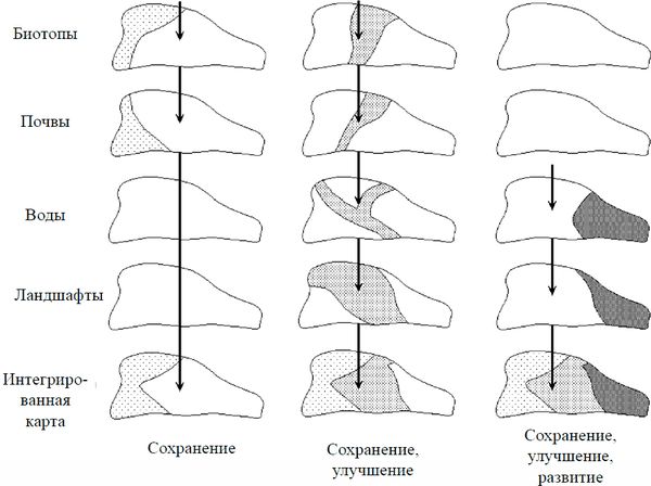 Коллектив авторов, Товарищество научных изданий КМК и др. - Ландшафтное...