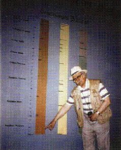 Колыбели цивилизаций