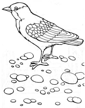 Ольга Новиковская - Развитие речи для малышей в рассказах и веселых картинках