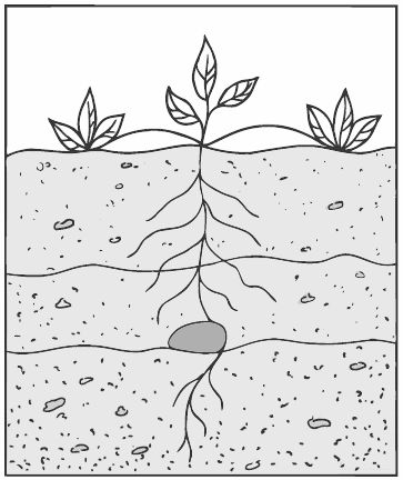 Алексей Алнашев - О боли
