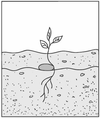 Алексей Алнашев - О боли