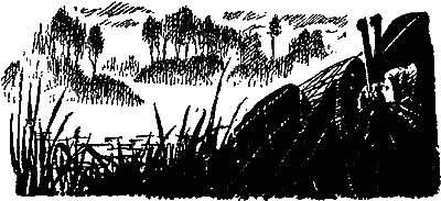 Леонид Платов - Секретный фарватер (Изд. 1963 г.)