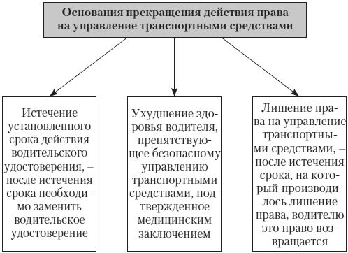 Алена Нариньяни, Алеся Довлатова - Эй, инспектор, ты не прав! Все о том, как...