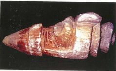 Захария Ситчин - Колыбели цивилизаций