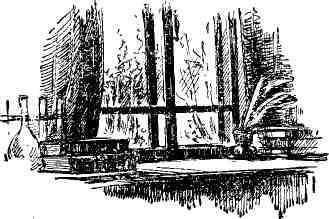 Александр Шмаков - Петербургский изгнанник. Книга третья