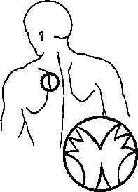 Валерий Ерофеев - Тайные рецепты парциальной магии