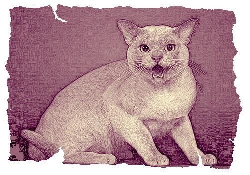 Дина Бакулина - Кот из Датского королевства