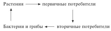 Экология: конспект лекций
