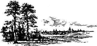 Александр Шмаков - Петербургский изгнанник. Книга третья