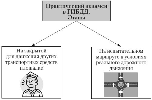 Алена Нариньяни, Алеся Довлатова - Эй, инспектор, ты не прав! Все о том, как...