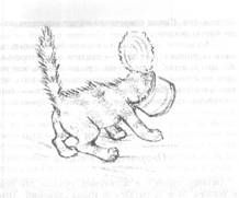 Люси Монтгомери - Рилла из Инглсайда