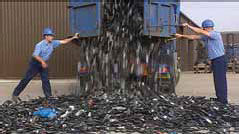 Мобильный дозор. ОSMыSливая политику