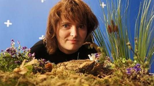 Андрей Ангелов - Практическая режиссура кино