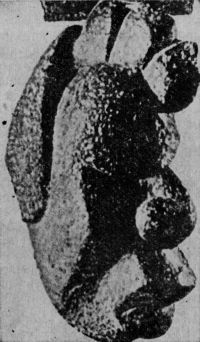 Николай Непомнящий - Колесницы в пустыне