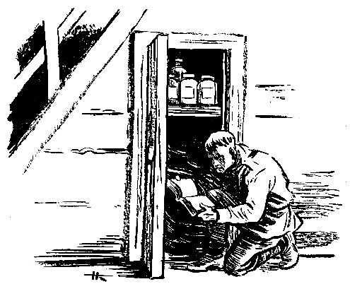 Леонид Рахманов, Евгений Рысс - Домик на болоте