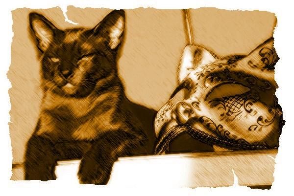 Дина Бакулина - Кот из Датского королевства