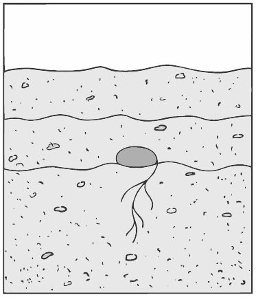 Алексей Алнашев - О боли