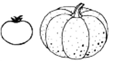 Ольга Новиковская - Развитие речи для малышей в рассказах и веселых картинках