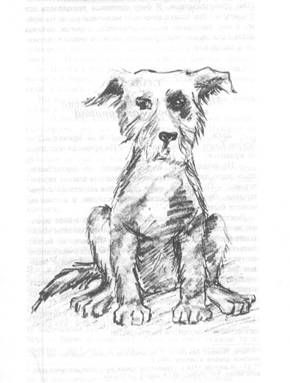 Люси Монтгомери - Рилла из Инглсайда