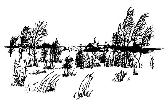 Марина Цветаева - Час души