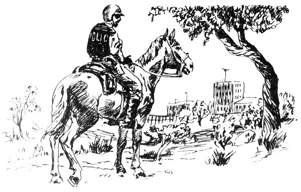 Александр Романенко - ВьЮжная Америка