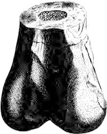 Джон Лонг - Утки тоже делают "это". Путешествие во времени к истокам...