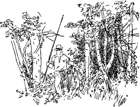 Петр СУВОРОВ - На заволжских озёрах