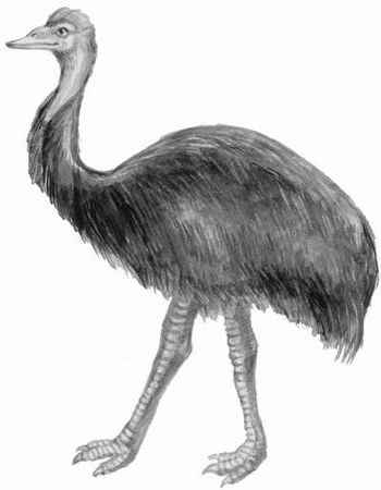 Ирина Новикова - Болезни домашней птицы