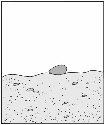 Алексей Алнашев - О боли