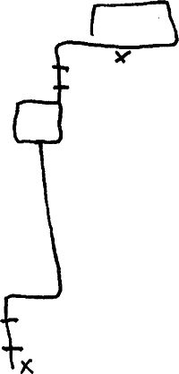 Питер Кэри - Кража