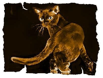 Дина Бакулина - Кот из Датского королевства