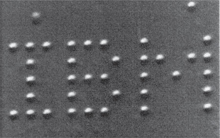 Брайан Клегг - Вселенная внутри вас