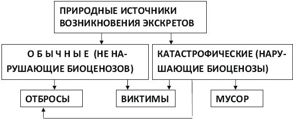 Вадим Романов - Начала экскретологии