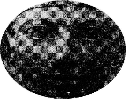 Милорад Павич - Мушка