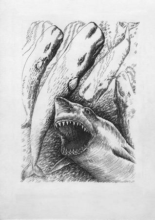 Саша Кругосветов - Победители Первого альтернативного международного конкурса...