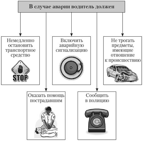 Алена Нариньяни, Алеся Довлатова - Эй, инспектор, ты не прав! Все о том, как...