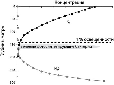 Пол Фальковски - Двигатели жизни. Как бактерии сделали наш мир обитаемым