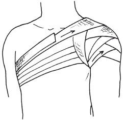 Елена Храмова, Владимир Плисов - Справочник медсестры. Практическое руководство