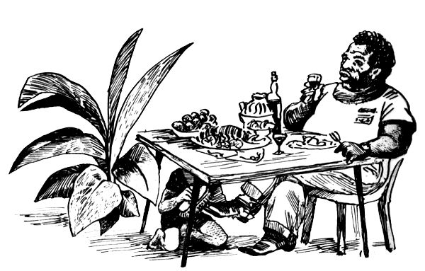 Александр Романенко - ВьЮжная Америка