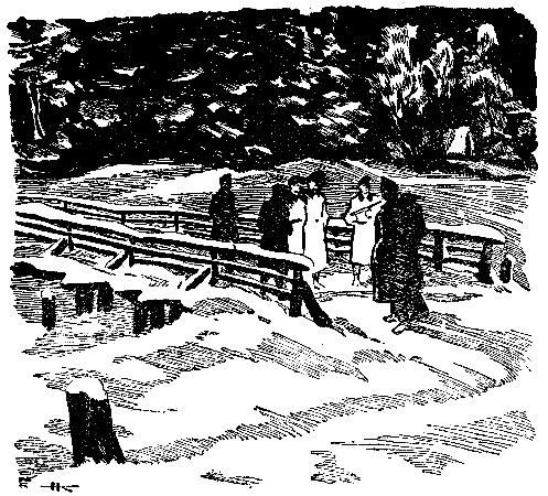 Леонид Рахманов, Евгений Рысс - Домик на болоте