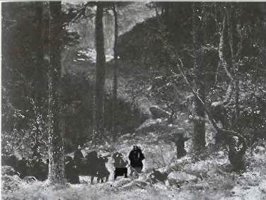 Хелен Гербер - Мифы Северной Европы